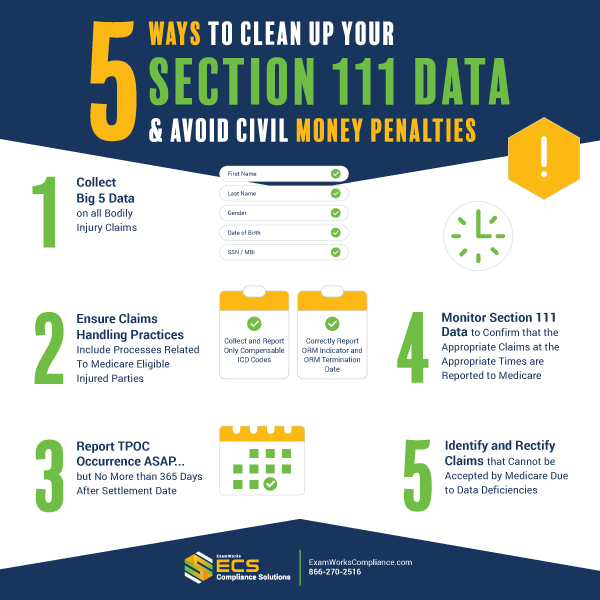 ECS_Infographic_5-WAYS-TO-CLEAN-UP-YOUR-SECTION-111-DATA-AND-AVOID-CIVIL-MONEY-PENALTIES_Square