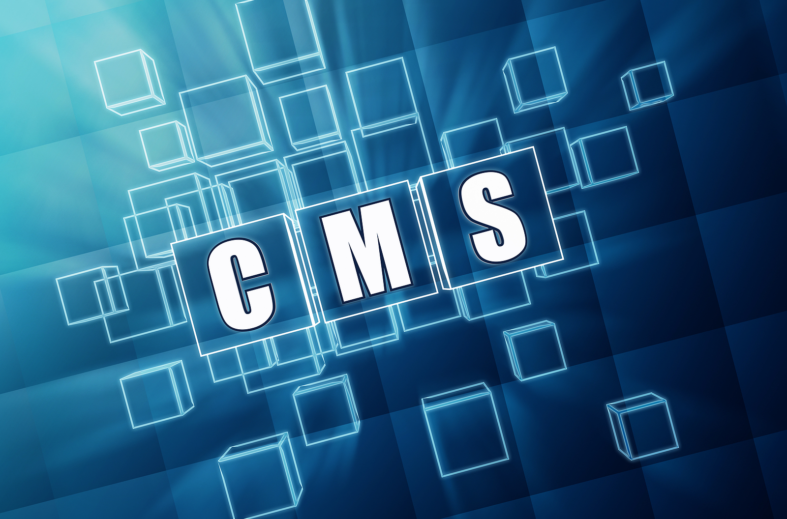 CMS Announces Plan to Require WCMSA Data via Section 111