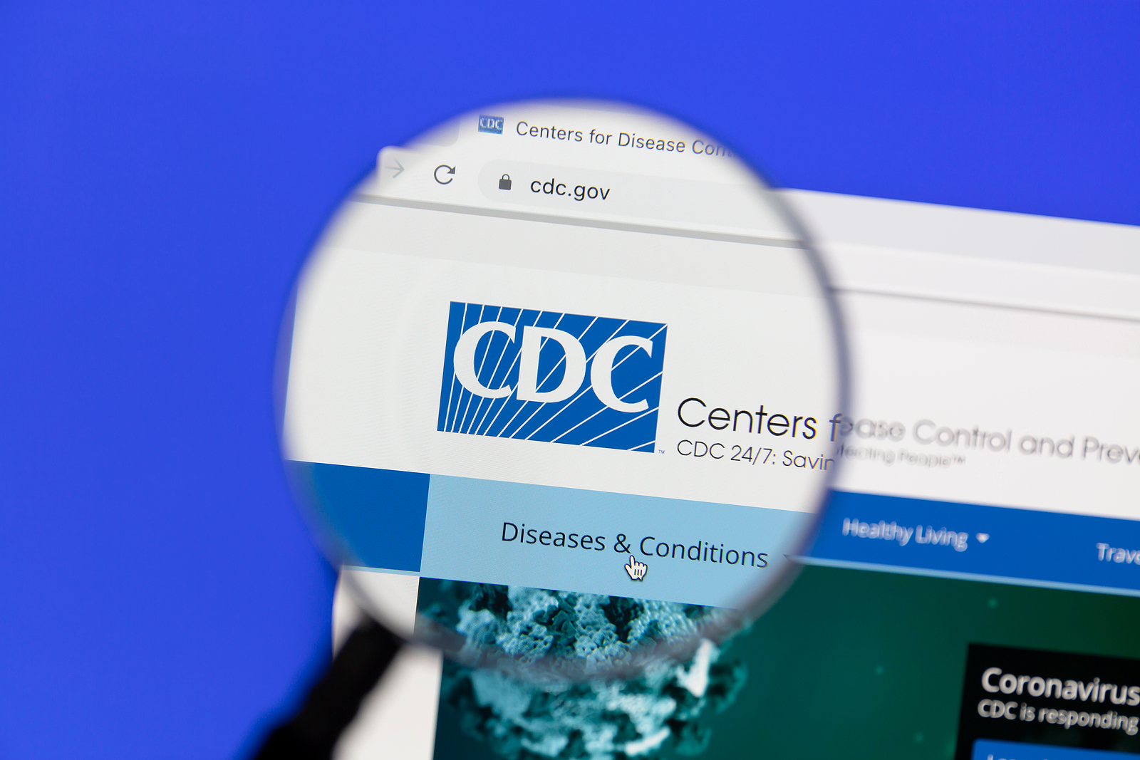CMS Announces Use of New CDC National Statistics Life Table #1 Effective 6/4/2022